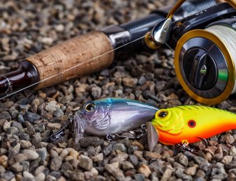 Do czego służy pellet wędkarski?